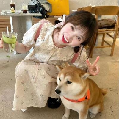 红色康拜因